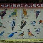 荒神社周辺に住む鳥たちの看板