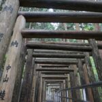 鳥居に書かれた奉納者の名前