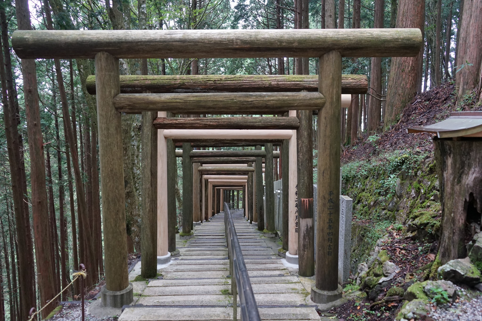 立里荒神社の参道に連なる鳥居