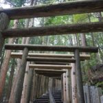 見上げた鳥居