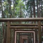 傾斜地に続く鳥居