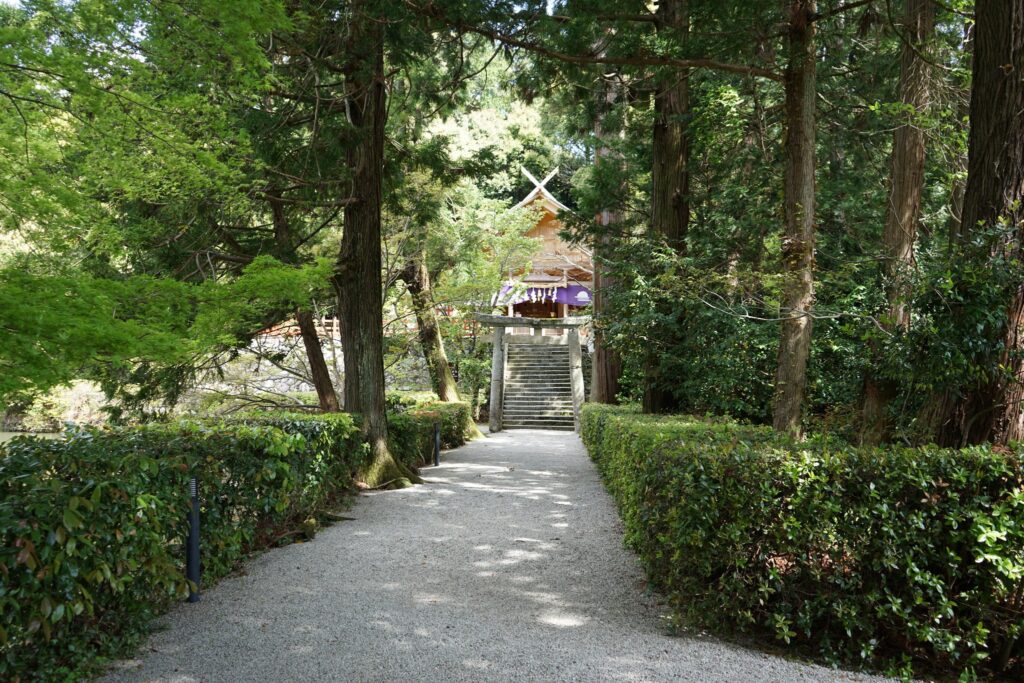 杉木立の参道