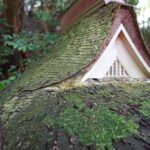 苔むした檜皮葺の屋根