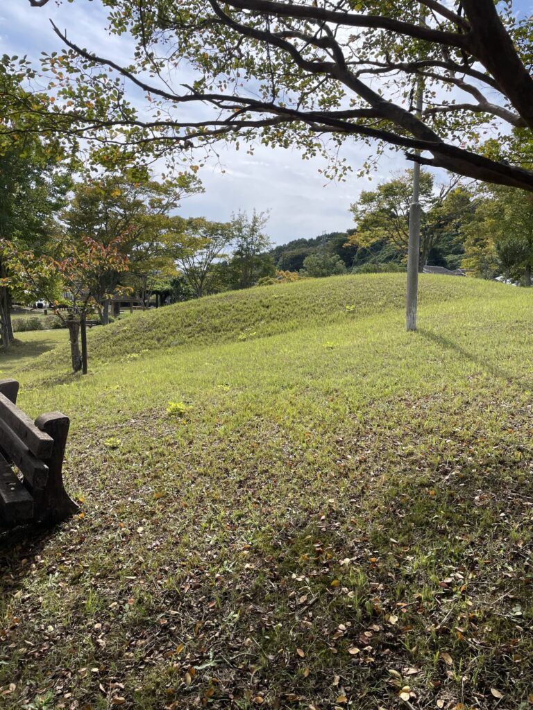 奥ノ芝1号墳の墳丘（ひのき坂古墳公園）