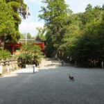 参道から見た石上神宮の楼門とニワトリ