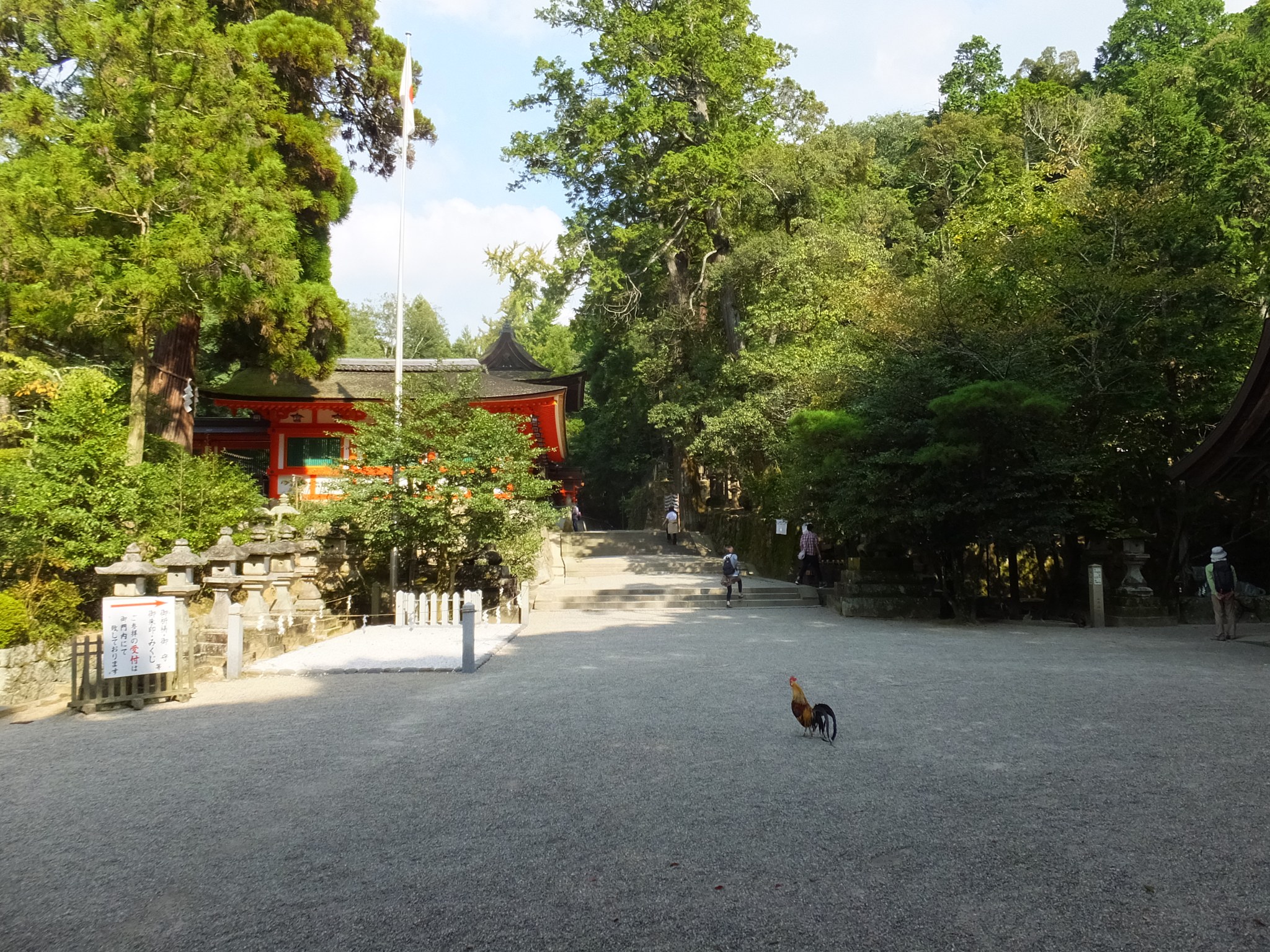 参道から見た石上神宮の楼門とニワトリ