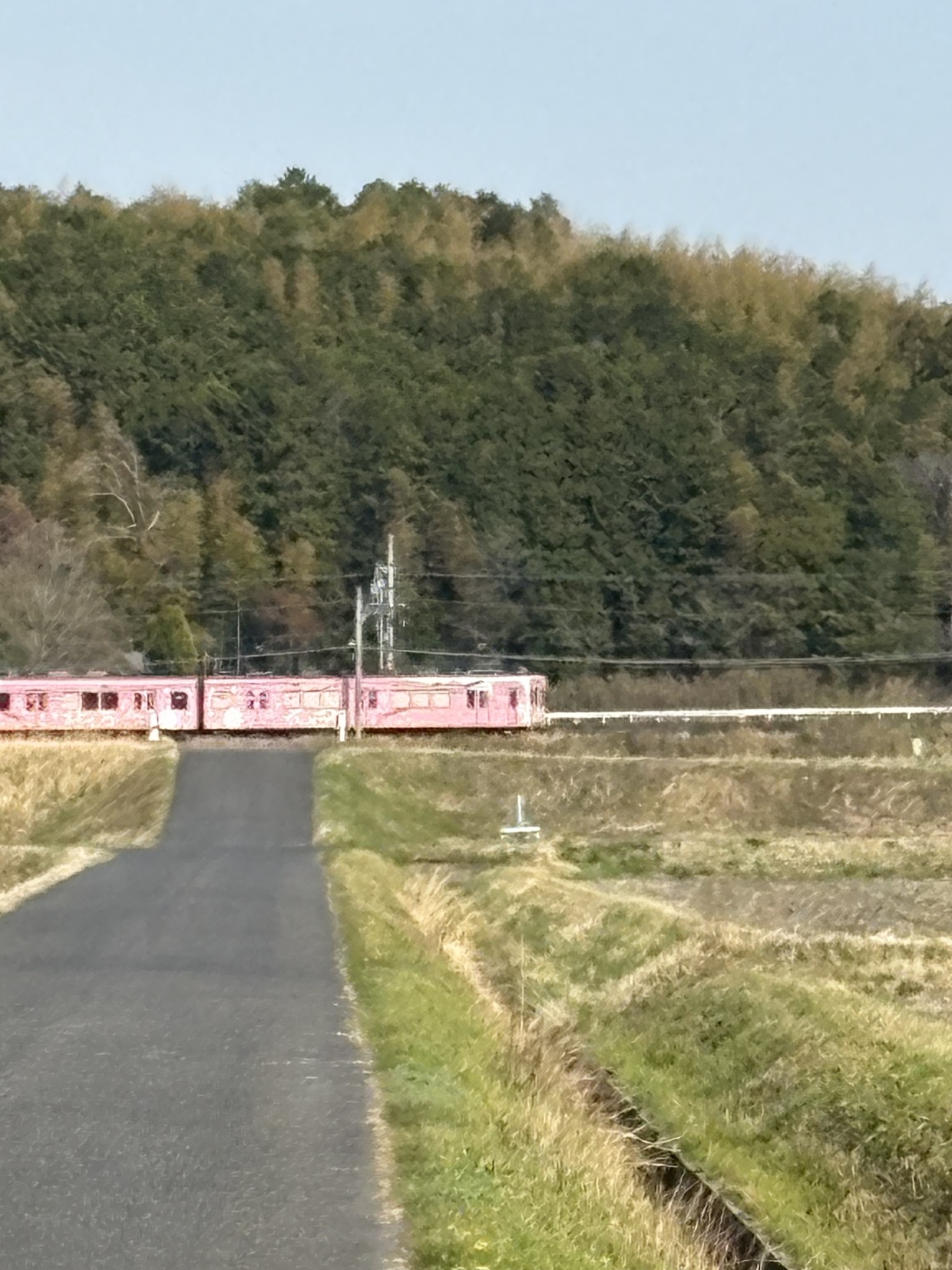 田んぼの向こうを走る伊賀鉄道のピンクの電車