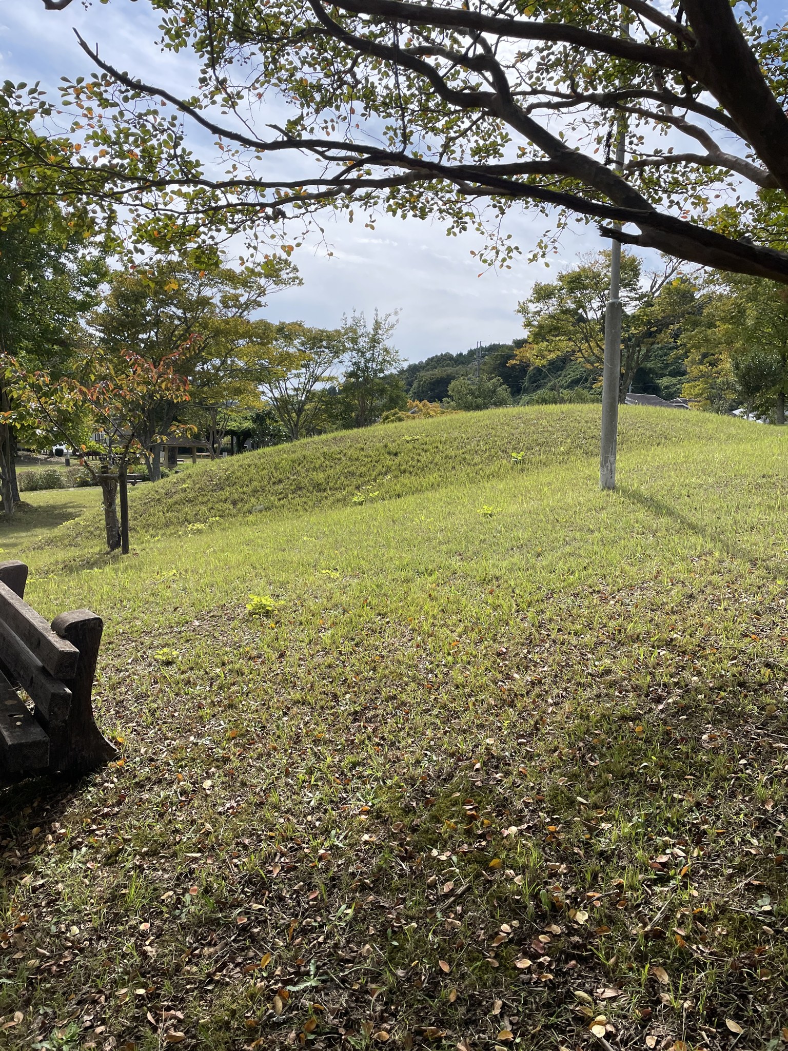 ひのき坂古墳公園の芝生にある奥ノ芝1号墳の墳丘