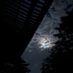 唐招提寺の軒と松のあいだに見える月