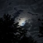 木立の上の雲に隠れた月