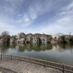 鰻堀池のほとりの眺め