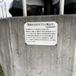 聖徳太子のオブジェ案山子の説明板