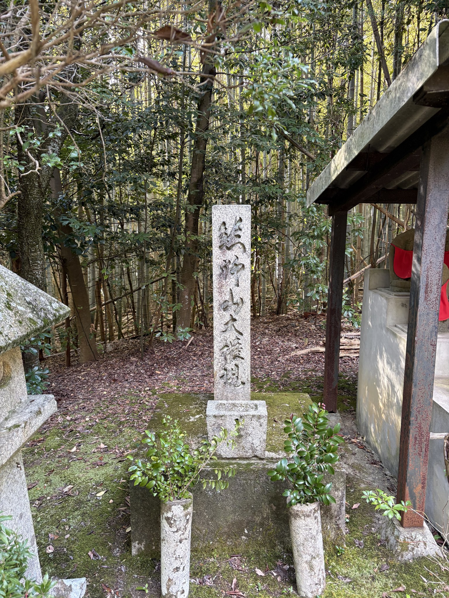 大権現と刻まれた石碑のお社