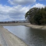 纒向のため池