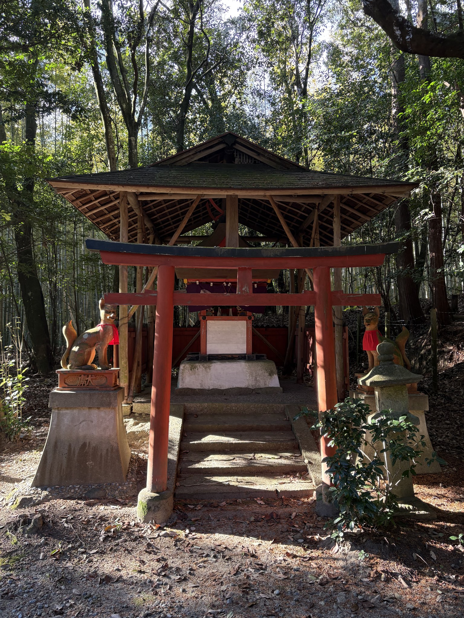 山道沿いの朱色のお稲荷さん