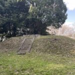 定林寺跡の土壇と桜