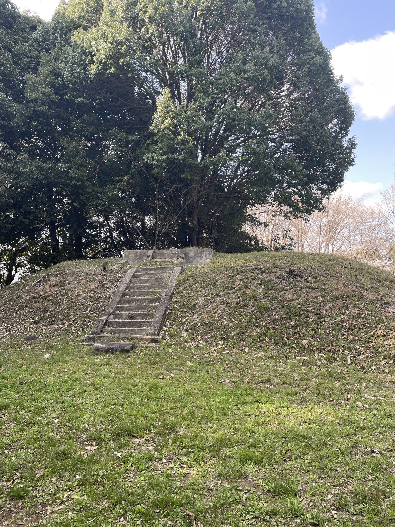 定林寺跡の土壇と桜