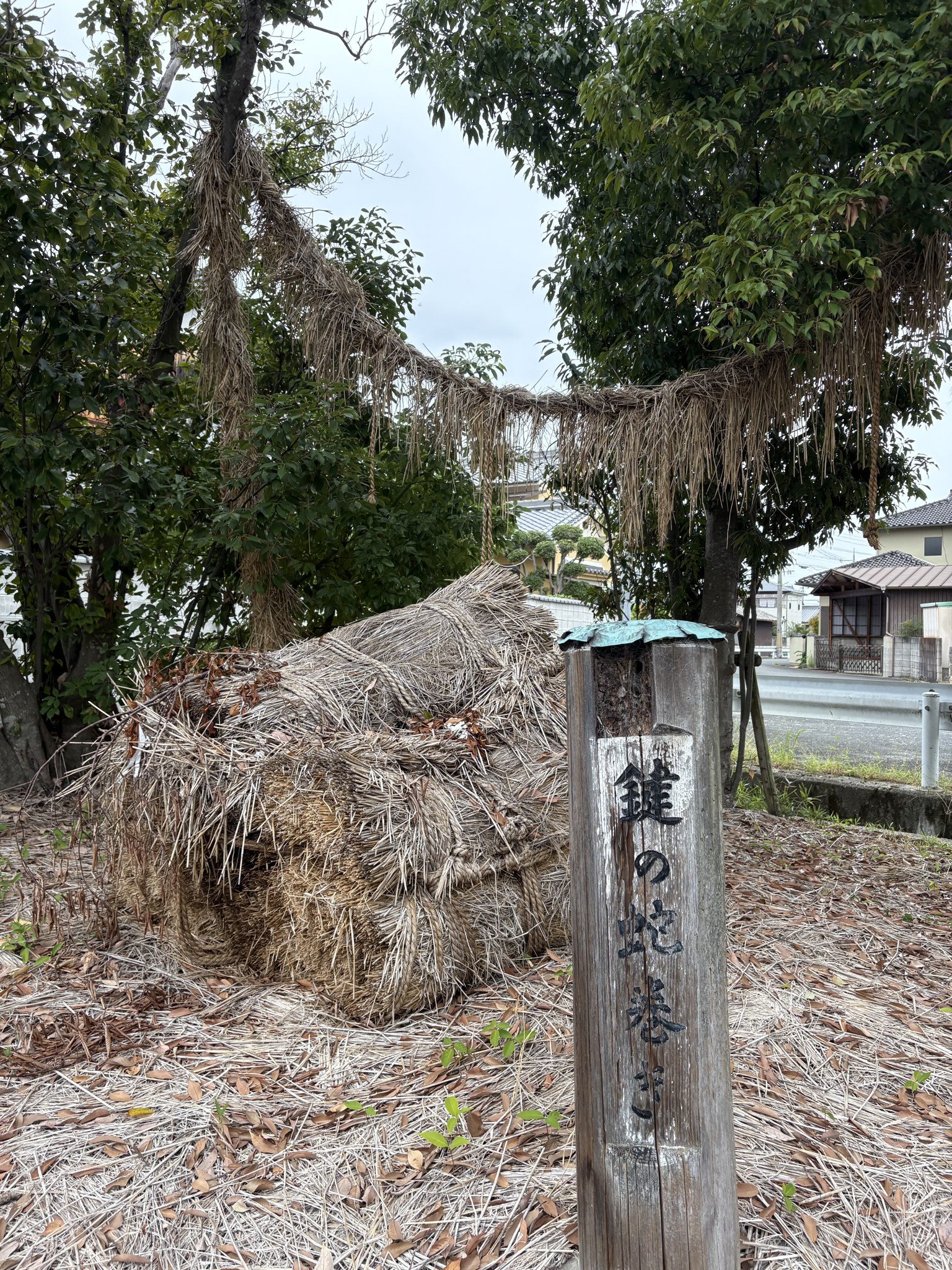 鍵の蛇巻きの藁の大蛇