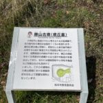 勝山古墳の説明看板