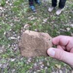 定林寺跡で見つけた飛鳥時代の瓦片