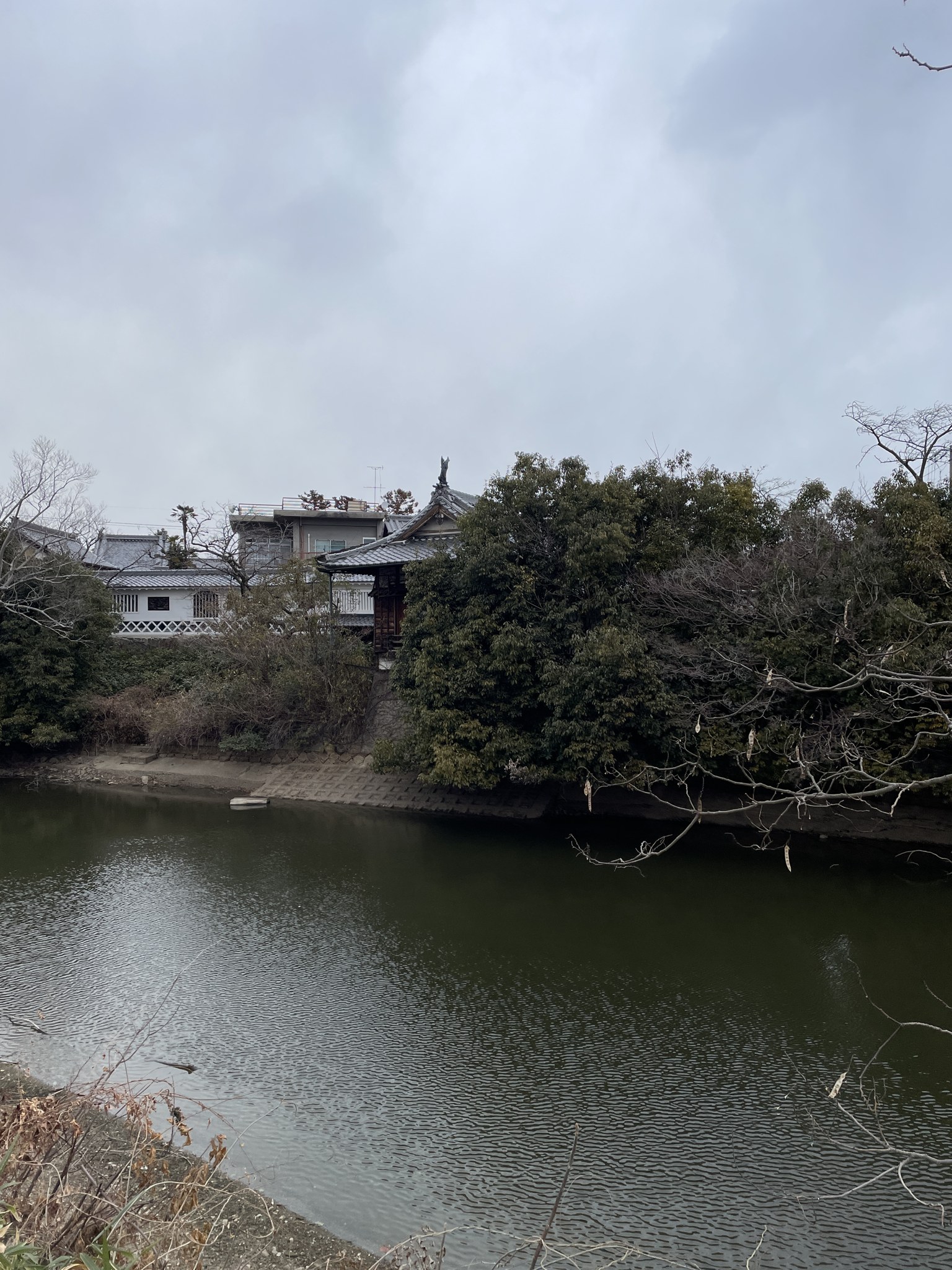 小泉城跡の堀と白い櫓