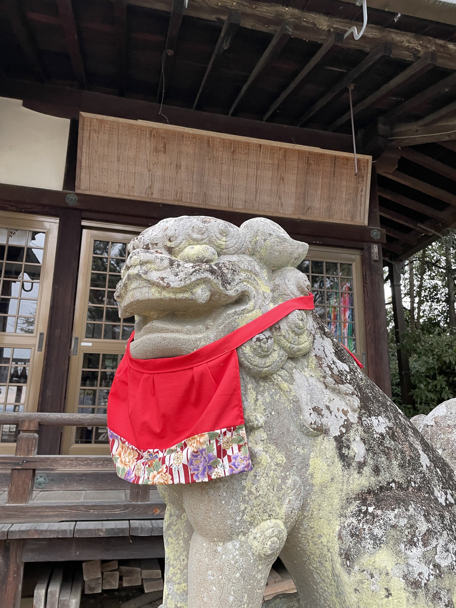 赤い前掛けをつけた小泉神社の狛犬