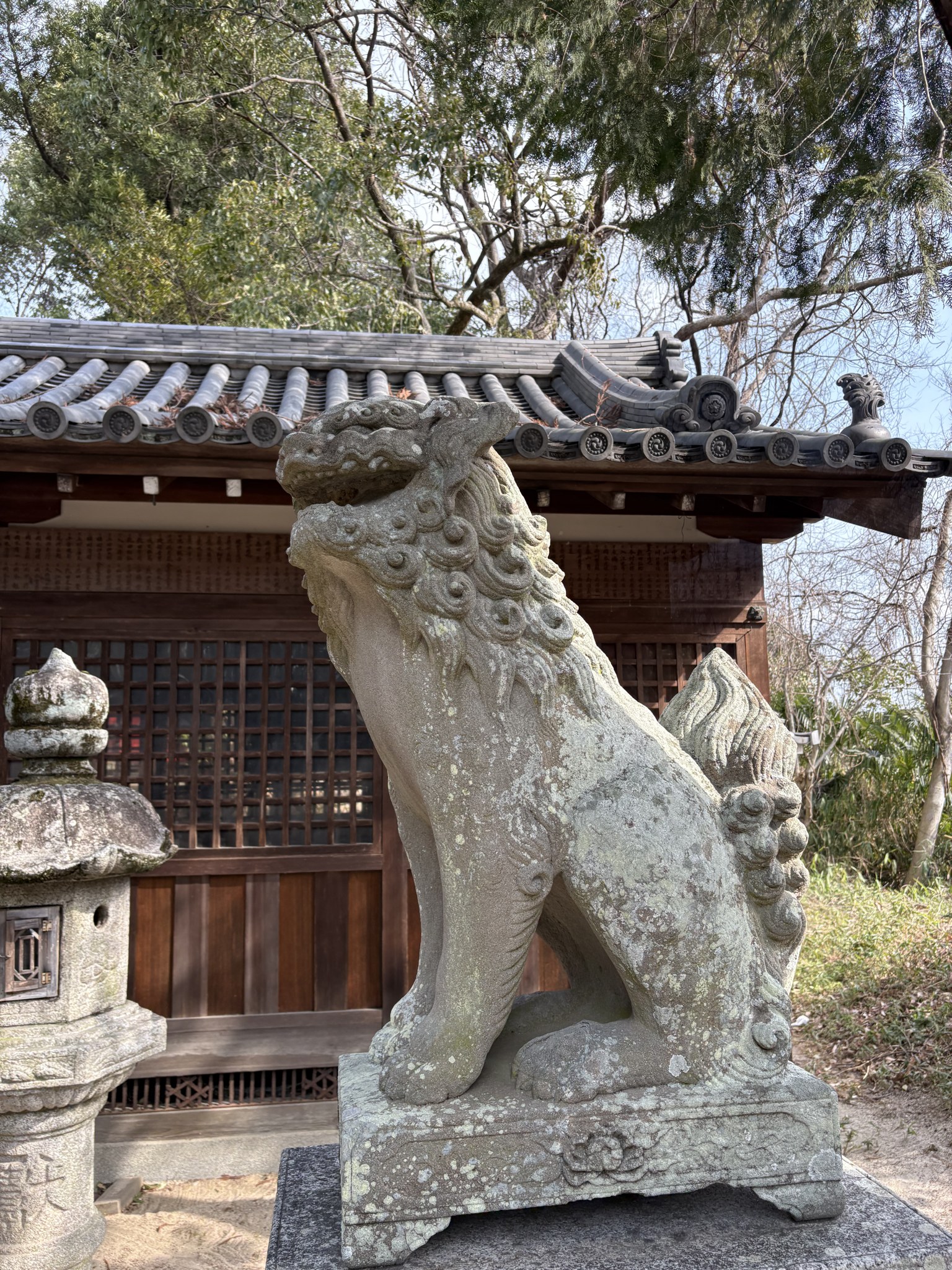 杵築神社の狛犬