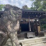 伊射奈岐神社の狛犬と社殿
