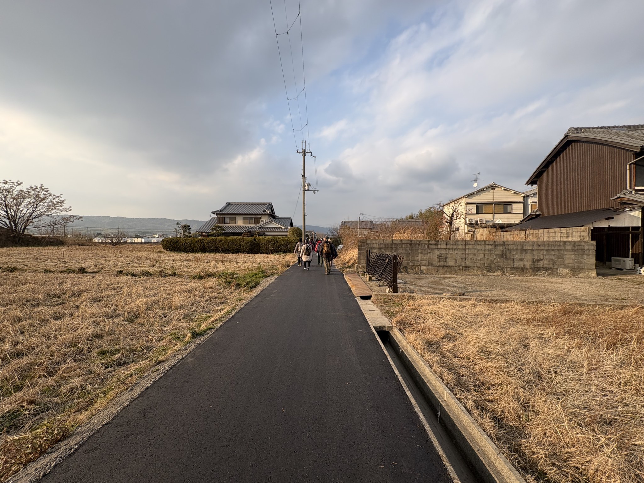 田園の中を通る太子道の一本道
