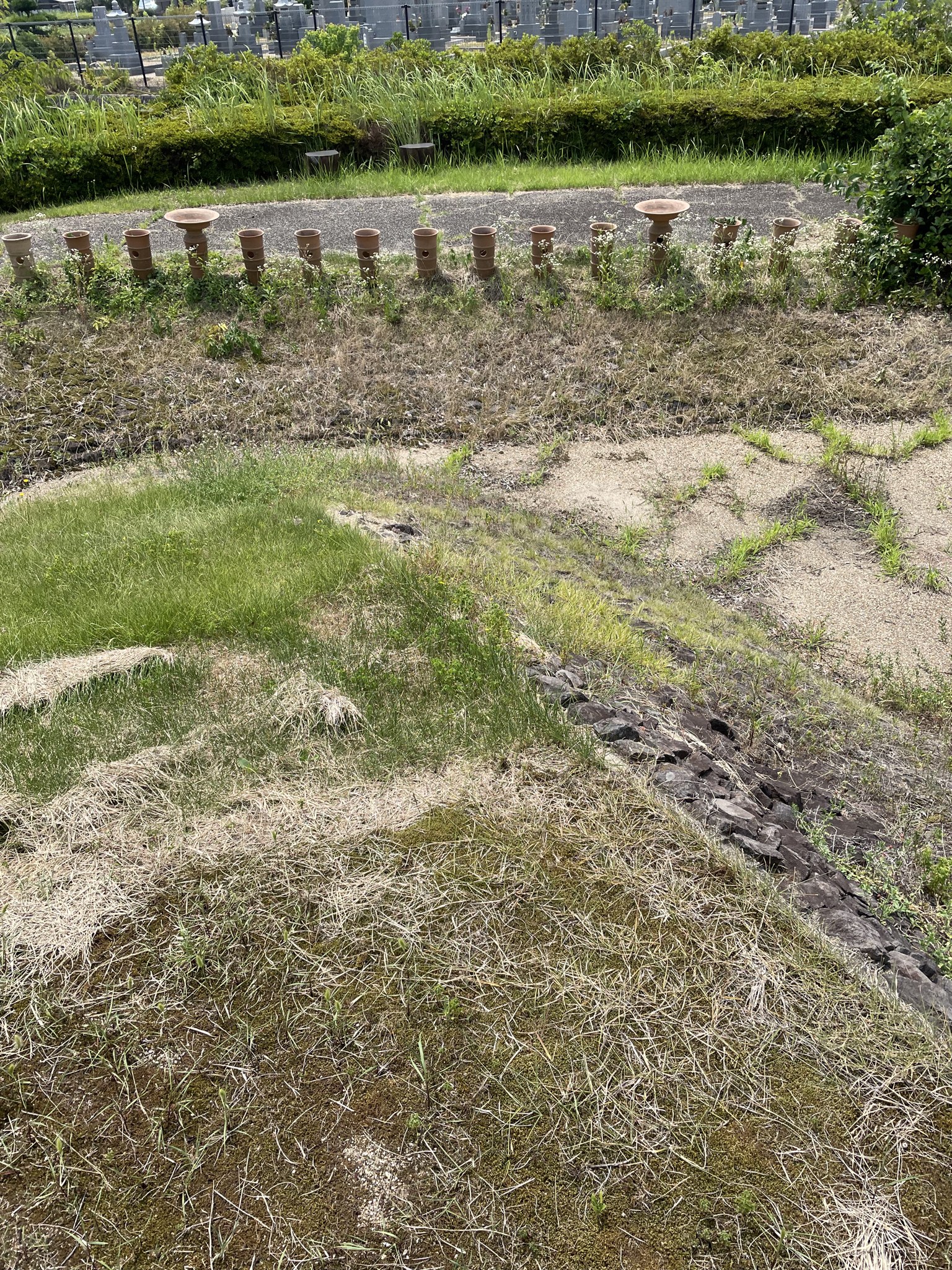 円筒埴輪の列と葺石で復元された三吉石塚古墳の墳丘