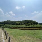 馬見丘陵公園内の古墳の墳丘