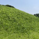 芝生でおおわれたナガレ山古墳の後円部