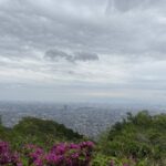 高安山から望む大阪平野とツツジ