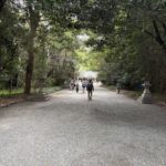 鏡作坐天照御魂神社の参道