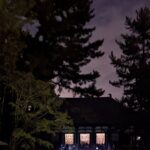 木立の奥に扉の開いた金堂が見える唐招提寺の夜の参道