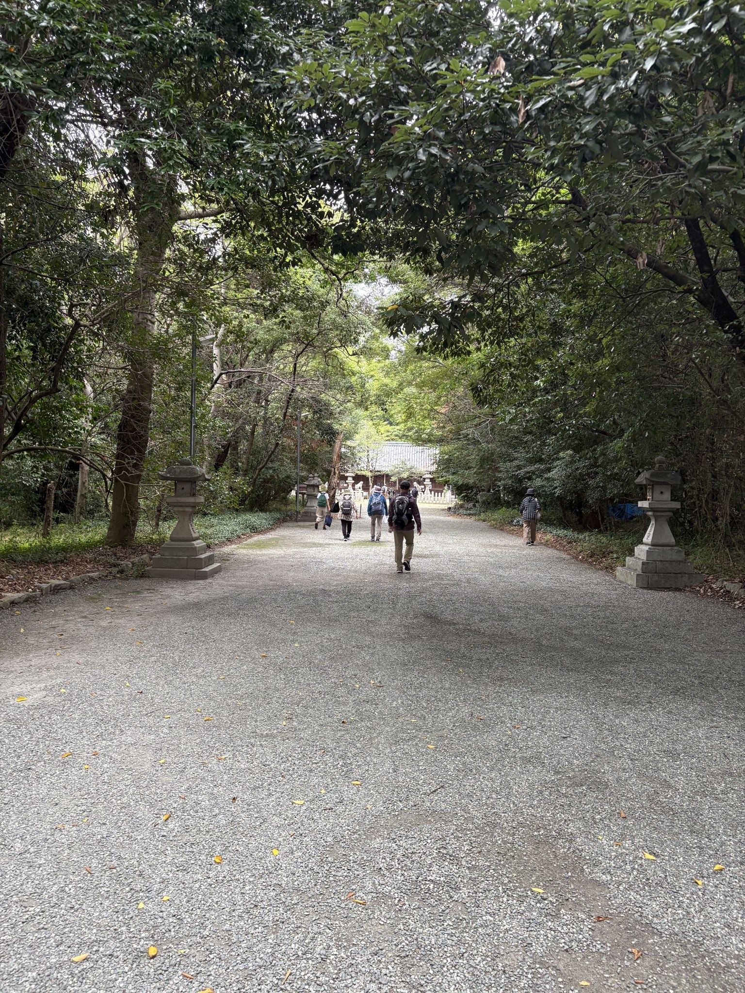 鏡作坐天照御魂神社の参道