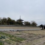 田園ごしに見える三重塔