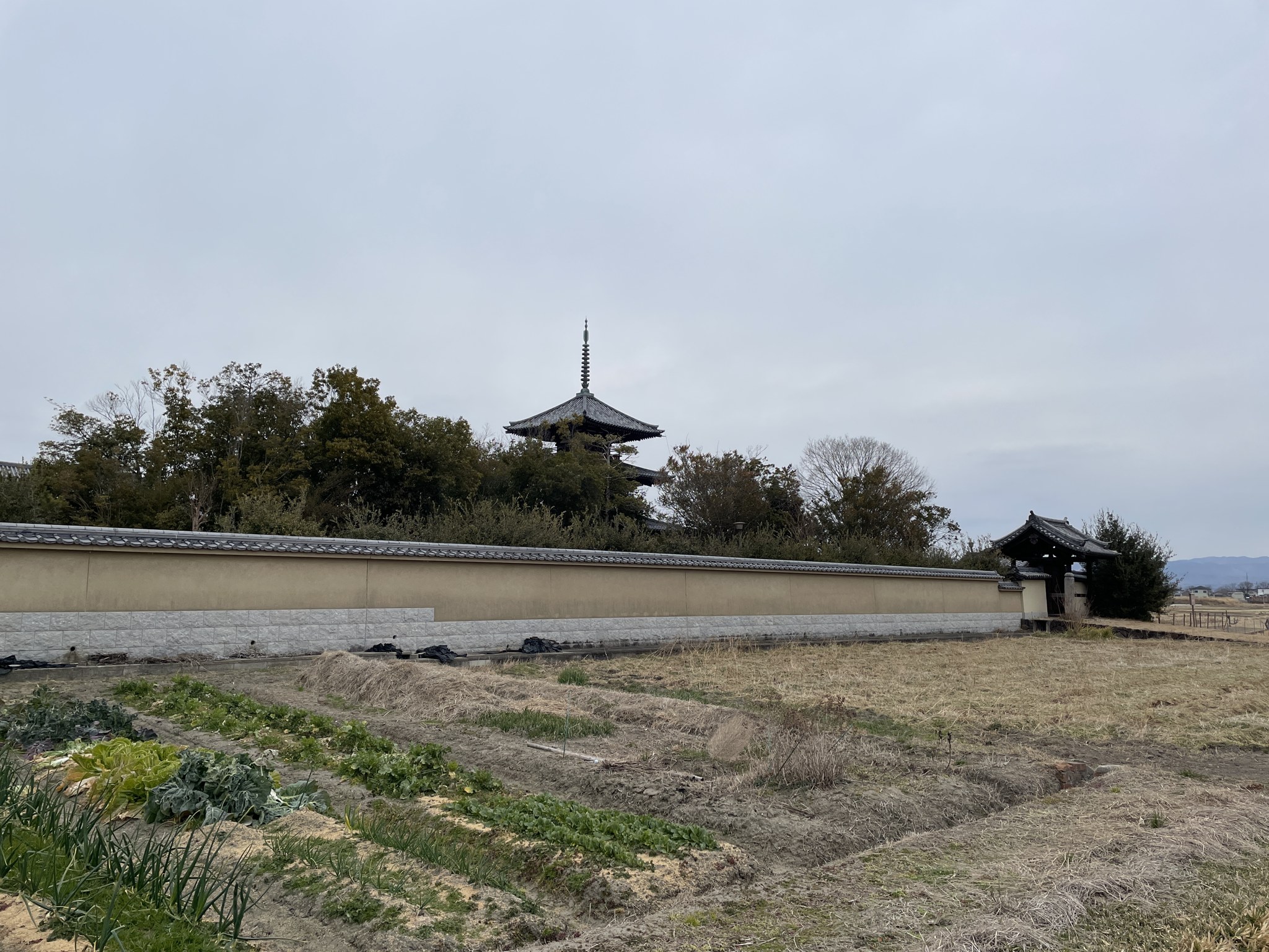 田園ごしに見える三重塔
