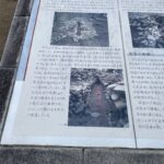 黒塚古墳の竪穴式石室の解説パネル