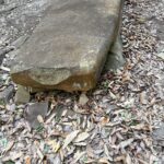 松岳山古墳の石棺