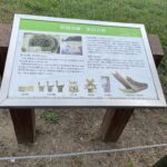 特別史跡・巣山古墳の説明板