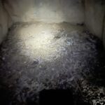 珠城山古墳の石室の玄室