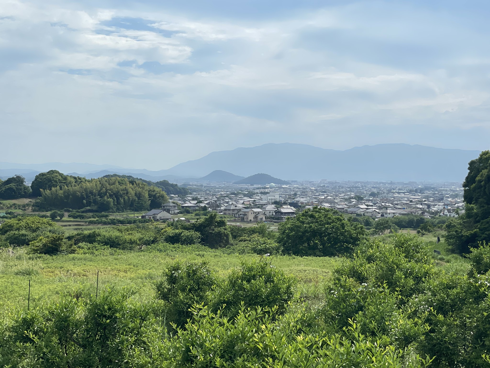 山の辺の道から見た田園風景