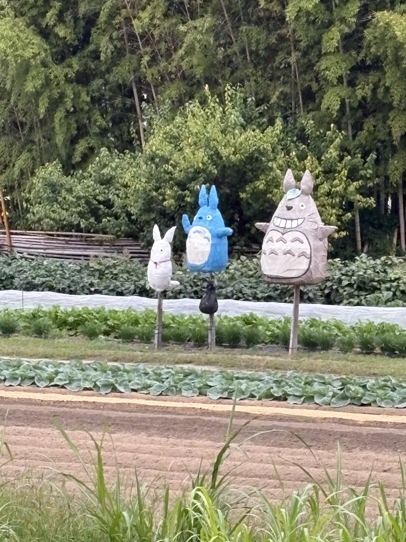 田んぼのわきのトトロのかかし