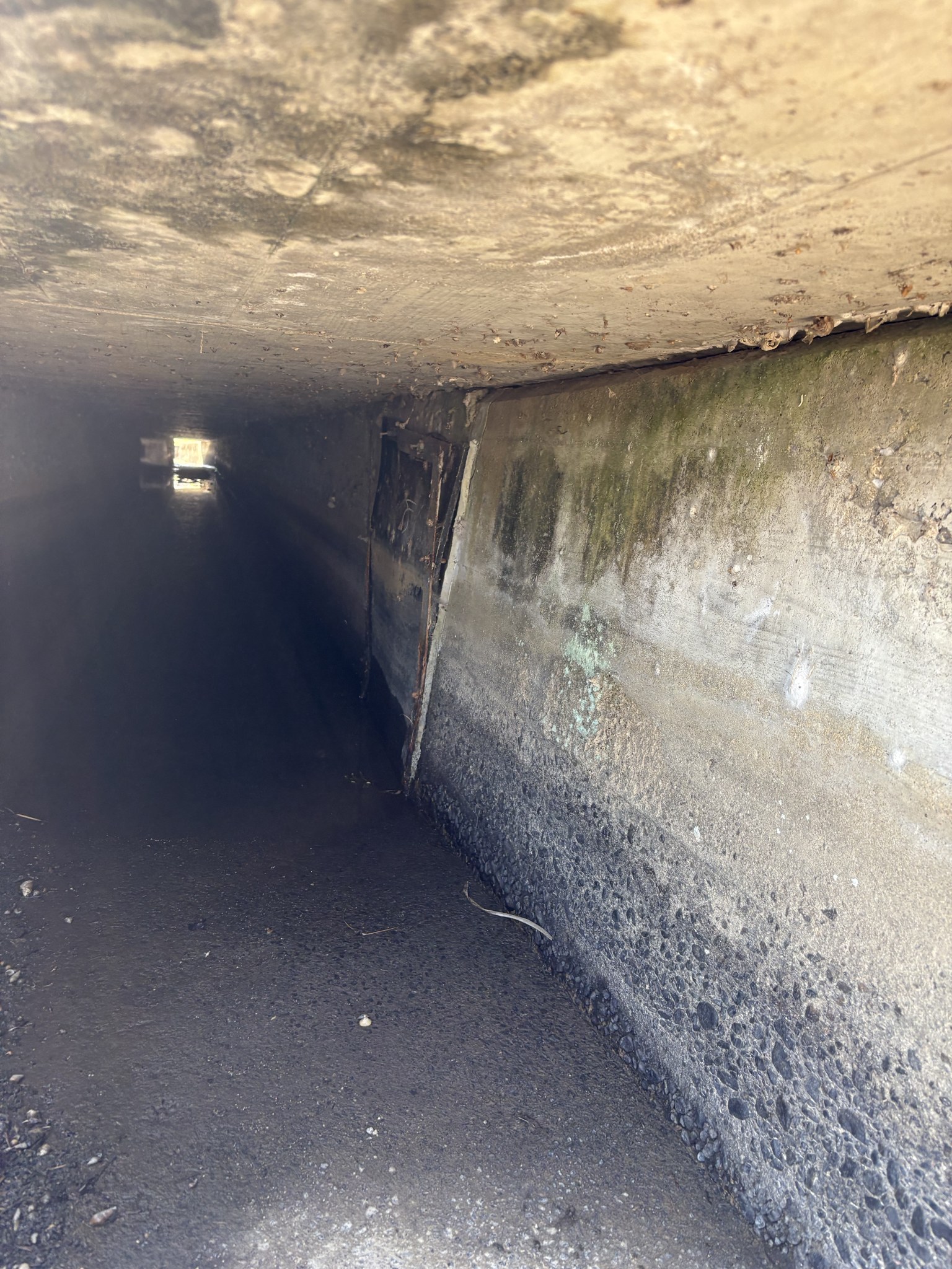 線路の下をくぐる小さな隧道