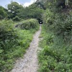 旧東信貴鋼索線跡のトンネル