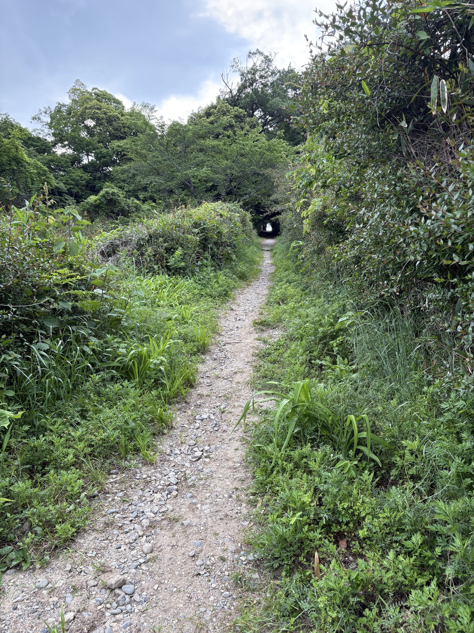 旧東信貴鋼索線跡のトンネル