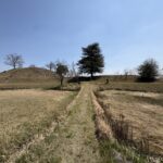 馬塚古墳の墳丘へと登る道