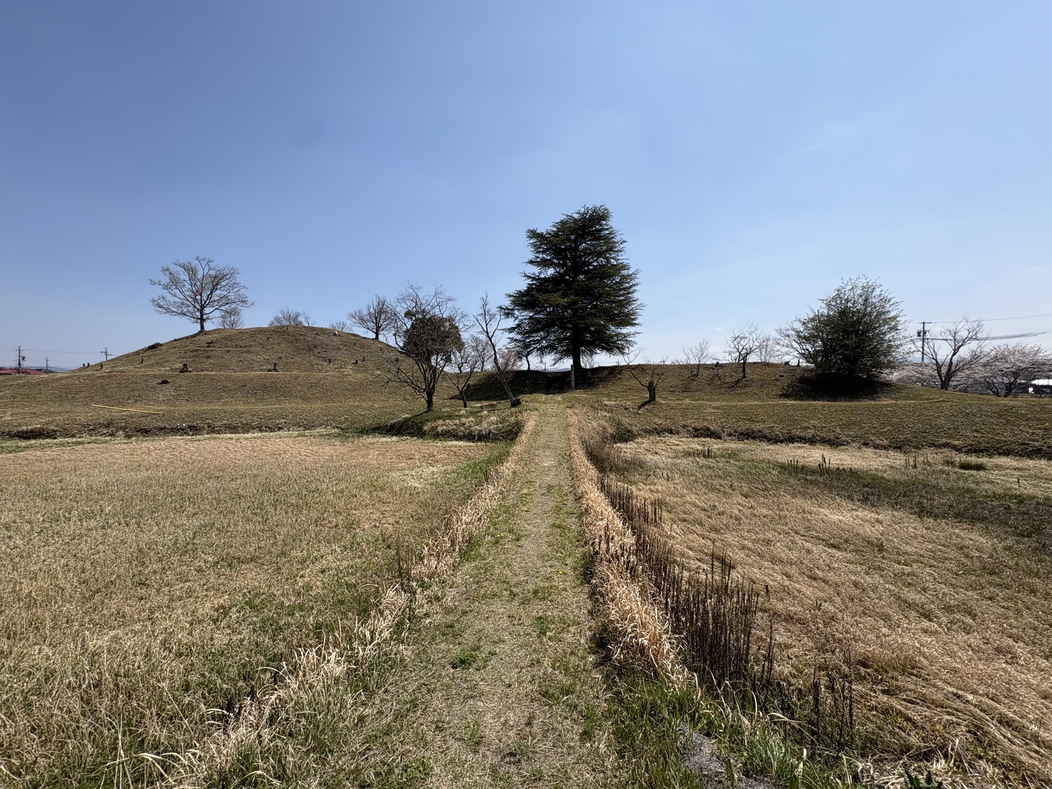 馬塚古墳の墳丘へと登る道