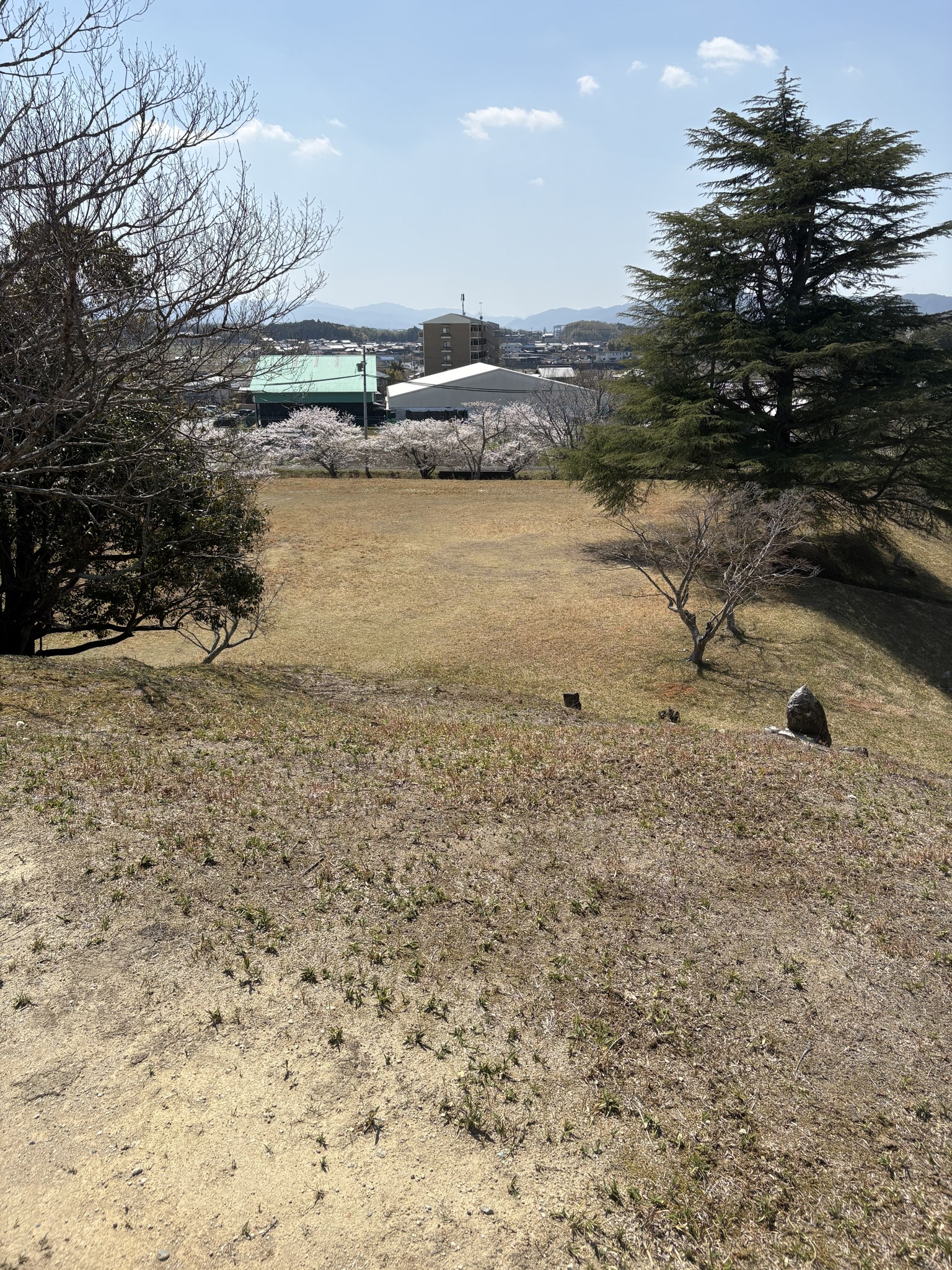 満開の桜と美旗古墳群の墳丘